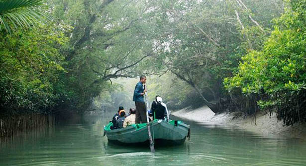 সুন্দরবন যাওয়ার আগে যা করবেন