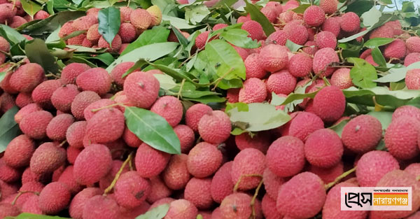 Yalangoch suzuvchilar rasmlar