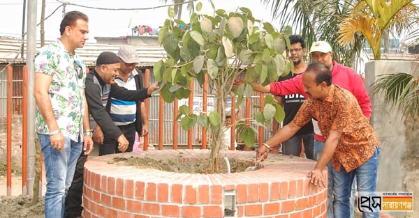 নাগবাড়ী ডিএসএস ক্লাব মাঠে বঙ্গসাথী ক্লাবের চারা রোপণ নাগবাড়ী ডিএসএস ক্লাব মাঠে বঙ্গসাথী ক্লাবের চারা রোপণ
