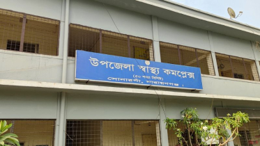 সোনারগাঁয়ে ট্রাকের ধাক্কায় পিকআপ থেকে পড়ে রাজমিস্ত্রি নিহত