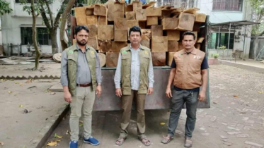 সোনারগাঁয়ে পাঁচ লাখ টাকার চোরাই আকাশমনি কাঠসহ ট্রাক আটক