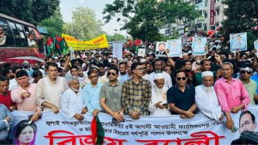 ঢাকার বিজয় র‌্যালিতে মামুন মাহমুদের নেতৃত্বে জেলা বিএনপির শো-ডাউন