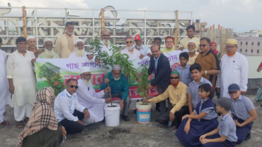 নগরবাসীকে গাছ লাগানোর পাশাপাশি ছাদবাগানের আহ্বান নাসিক প্রশাসকের