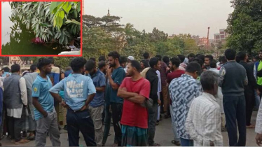 সিটি পার্কের লেকে ভাসছিল মরদেহ, পাড়ে বড়শির ছিপ সিটি পার্কের লেকে ভাসছিল মরদেহ, পাড়ে বড়শির ছিপ