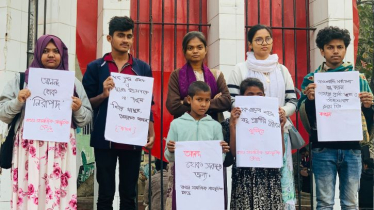 নতুন বছর উদযাপনে আতশবাজি ও ফানুস উড়ানো বন্ধের আহ্বান