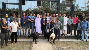 খালেদা জিয়া-নুরুল ইসলাম সরদারের সুস্থতা কামনায় দোয়া ও খাসি সদকা খালেদা জিয়া-নুরুল ইসলাম সরদারের সুস্থতা কামনায় দোয়া ও খাসি সদকা