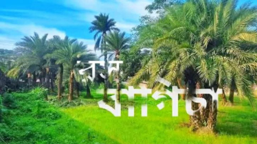 খেজুর রসের বাগান: রস বাগিচা সিজন-২ এর যাত্রা শুরু