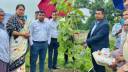 একদিনে দেড় হাজার বৃক্ষরোপণ উদ্বোধন করলেন নারায়ণগঞ্জের ডিসি