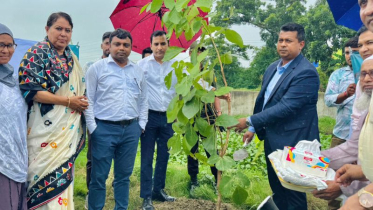 একদিনে দেড় হাজার বৃক্ষরোপণ উদ্বোধন করলেন নারায়ণগঞ্জের ডিসি