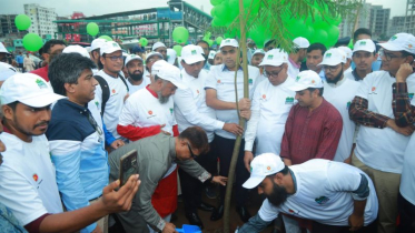 সবুজ নারায়ণগঞ্জ গড়তে এক লাখ গাছ লাগালেন ডিসি