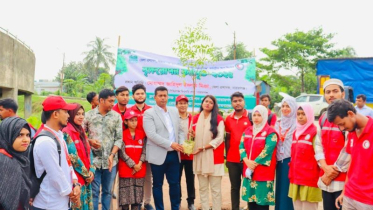 পাখিদের বিশ্রাম ও খাদ্য নিশ্চিত করতে ডিসির জামগাছ রোপণ 