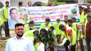 ফতুল্লায় স্বেচ্ছাসেবক দলের উদ্যোগে বৃক্ষরোপণ কর্মসূচি