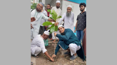 বৃক্ষরোপণের পাশাপাশি গাছের পরিচর্যার আহ্বান আবদুল জব্বারের