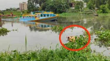 সোনারগাঁয়ে নদী থেকে হাত-পা বাঁধা নারীর মরদেহ উদ্ধার