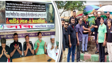 মাইলস্টোন ট্র্যাজেডি: নিহতদের স্মরণে সন্ধি’র দোয়া ও বৃক্ষরোপণ