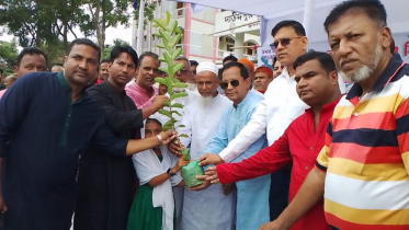 জোবাইদা রহমানের জন্মদিন উপলক্ষে রূপগঞ্জে বৃক্ষরোপণ কর্মসূচি