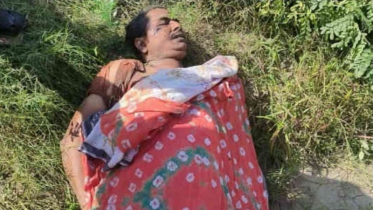 সোনারগাঁয়ে মাছ ব্যবসায়ীর মরদেহ উদ্ধার