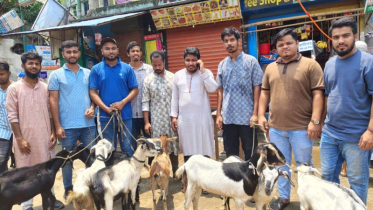 ২১ শহীদ পরিবারে এনসিপির কোরবানির পশু উপহার