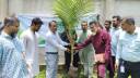 তোলারাম কলেজে ছাত্রশিবিরের বৃক্ষরোপণ কর্মসূচি