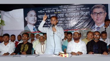 ভোটের অধিকার আদায়ে জীবন দিয়েছে বিএনপির নেতাকর্মীরা: মামুন মাহমুদ