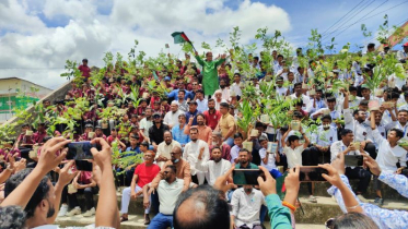 ফতুল্লা-সিদ্ধিরগঞ্জে ২০ হাজার বৃক্ষরোপণের ঘোষণা মামুন মাহমুদের