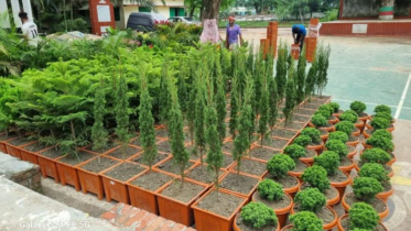 সবুজে মোড়ানো রূপগঞ্জ উপজেলা পরিষদ