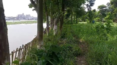 শীতলক্ষ্যার ভাঙনে বিলীন হতে বসেছে শান্তিনগর কবরস্থান