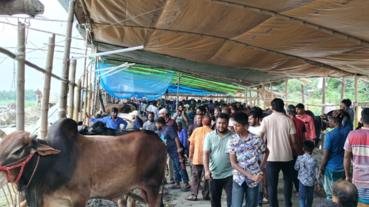 কোরবানি: শেষ মুহুর্তে হাটে বেচাকেনার ধুম