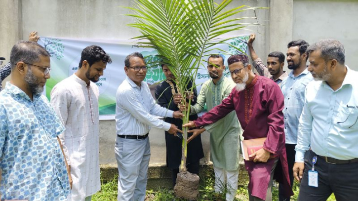 তোলারাম কলেজে ছাত্রশিবিরের বৃক্ষরোপণ কর্মসূচি তোলারাম কলেজে ছাত্রশিবিরের বৃক্ষরোপণ কর্মসূচি