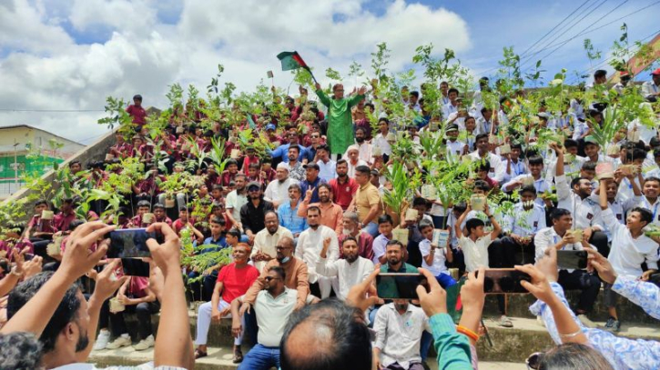 ফতুল্লা-সিদ্ধিরগঞ্জে ২০ হাজার বৃক্ষরোপণের ঘোষণা মামুন মাহমুদের ফতুল্লা-সিদ্ধিরগঞ্জে ২০ হাজার বৃক্ষরোপণের ঘোষণা মামুন মাহমুদের