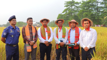 আড়াইহাজারে বোরো ধান কর্তনের উদ্বোধন ও কৃষক মতবিনিময় সভা