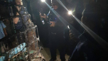 ঢাকা-নারায়ণগঞ্জ লিংক রোডে সিএনজিতে আগুন ঢাকা-নারায়ণগঞ্জ লিংক রোডে সিএনজিতে আগুন