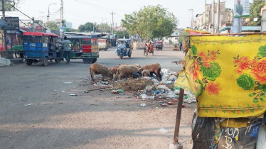 বন্দরে শতফুটের সড়কে আবর্জনার স্তুপ, জনস্বাস্থ্য ঝুঁকি বন্দরে শতফুটের সড়কে আবর্জনার স্তুপ, জনস্বাস্থ্য ঝুঁকি