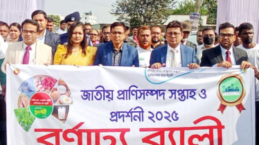 জাতীয় প্রাণিসম্পদ সপ্তাহে র‌্যালি ও আলোচনা সভা