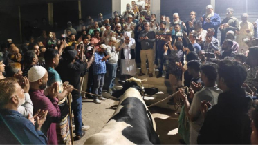 খালেদা জিয়ার সুস্থতা কামনায় দোয়া মাহফিল ও গরু সদকা খালেদা জিয়ার সুস্থতা কামনায় দোয়া মাহফিল ও গরু সদকা