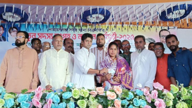 মনোনয়ন আমাদের জন্য সবুজ সংকেত নয়: আবুল কাউসার আশা