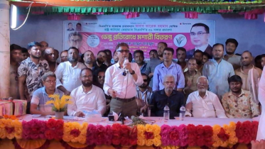 শেখ হাসিনার শাসনামলে রাষ্ট্রযন্ত্র ধ্বংস হয়েছে: মামুন মাহমুদ 