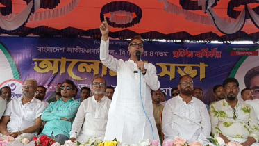 অতি দ্রুত নির্বাচনের দাবি মামুন মাহমুদের