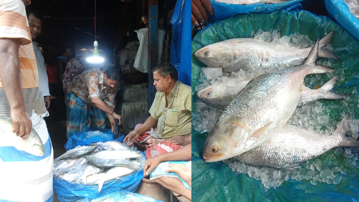 বাজারে চড়া দামে বিক্রি হচ্ছে ইলিশ বাজারে চড়া দামে বিক্রি হচ্ছে ইলিশ