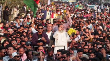 ধানের শীষকে সবাই মিলে বিজয়ী করবো: কালাম