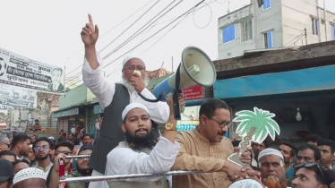 ‘সরকারের ভেতরে ফ্যাসিস্টের দোসররা বিএনপিকে ক্ষমতায় দেখতে চায় না’