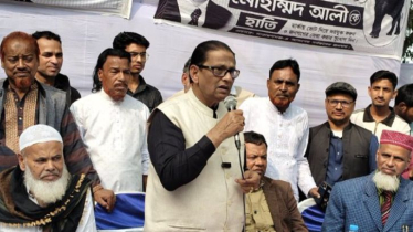 আমিও বিএনপির কর্মী, ভয় পাবার লোক না: মোহাম্মদ আলী আমিও বিএনপির কর্মী, ভয় পাবার লোক না: মোহাম্মদ আলী