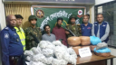 যৌথ বাহিনীর অভিযানে ৪০ কেজি গাঁজাসহ দুই মাদক ব্যবসায়ী আটক যৌথ বাহিনীর অভিযানে ৪০ কেজি গাঁজাসহ দুই মাদক ব্যবসায়ী আটক