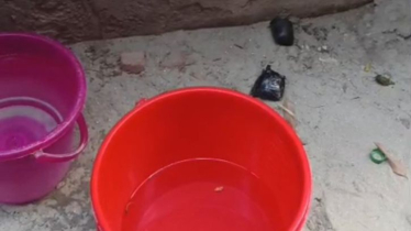 ফতুল্লায় দিনদুপুরে বোমা ফাটিয়ে প্রবাসীর বাড়িতে ডাকাতি