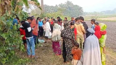 সোনারগাঁয়ে প্রতিবন্ধী অটোচালকের স্কচটেপ মোড়ানো মরদেহ উদ্ধার