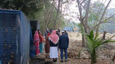 সিদ্ধিরগঞ্জে গরু লুট, পথে বসেছেন খামারি