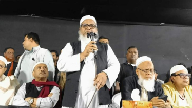 জিয়াউর রহমান ও ধানের শীষকে ভালোবাসি: মনির কাসেমী