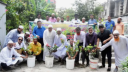 ডিআইটি মসজিদ প্রাঙ্গণে ‘আমরা নারায়ণগঞ্জবাসী’র বৃক্ষরোপণ কর্মসূচি ডিআইটি মসজিদ প্রাঙ্গণে ‘আমরা নারায়ণগঞ্জবাসী’র বৃক্ষরোপণ কর্মসূচি