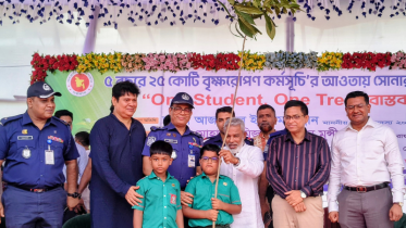 এই গাছ আমাদের অক্সিজেন দেবে, জীবন ও দেশ বাঁচাবে: এমপি মান্নান