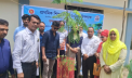 মদনগঞ্জ মডেল সরকারি প্রাথমিক বিদ্যালয়ে বৃক্ষরোপণ কর্মসূচির উদ্ধোধন মদনগঞ্জ মডেল সরকারি প্রাথমিক বিদ্যালয়ে বৃক্ষরোপণ কর্মসূচির উদ্ধোধন